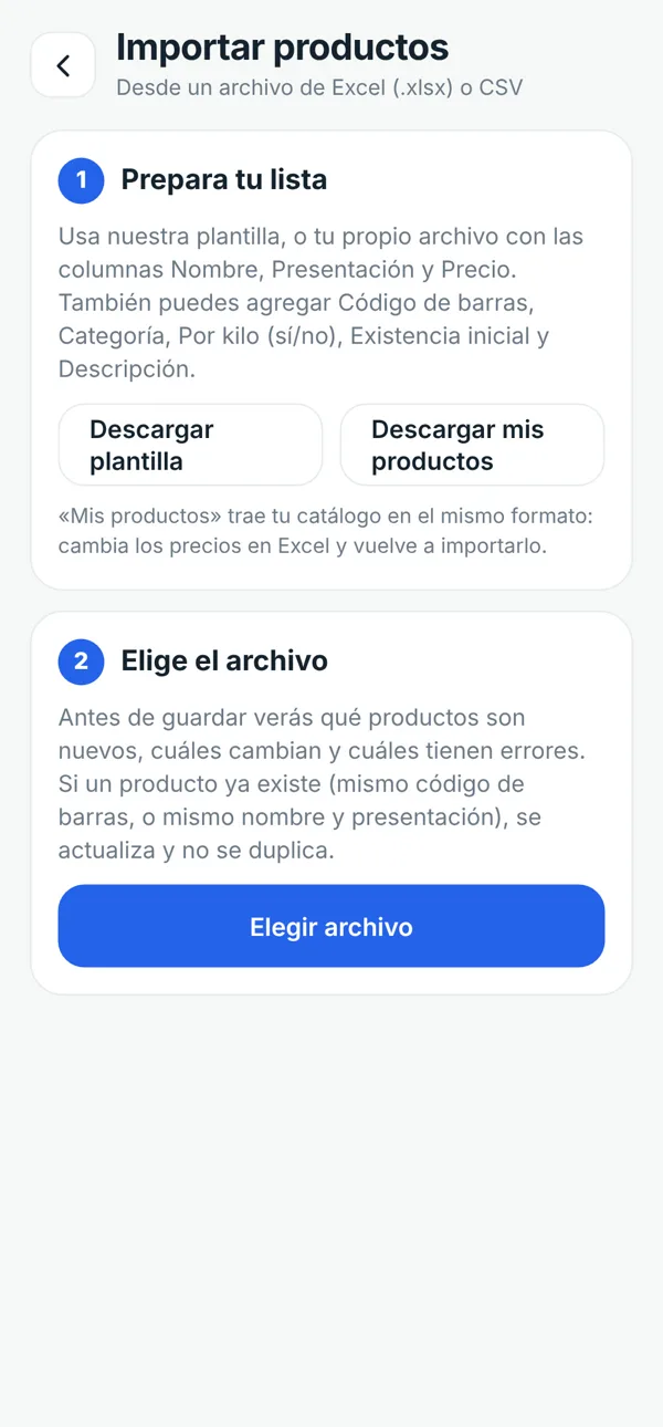 Pantalla de Ravtix para importar productos desde Excel o CSV